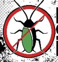 Die Schädlingsexperten